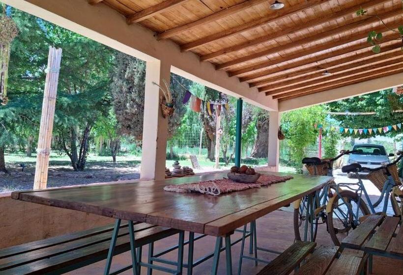 Aire De Barreal Hostel Andino