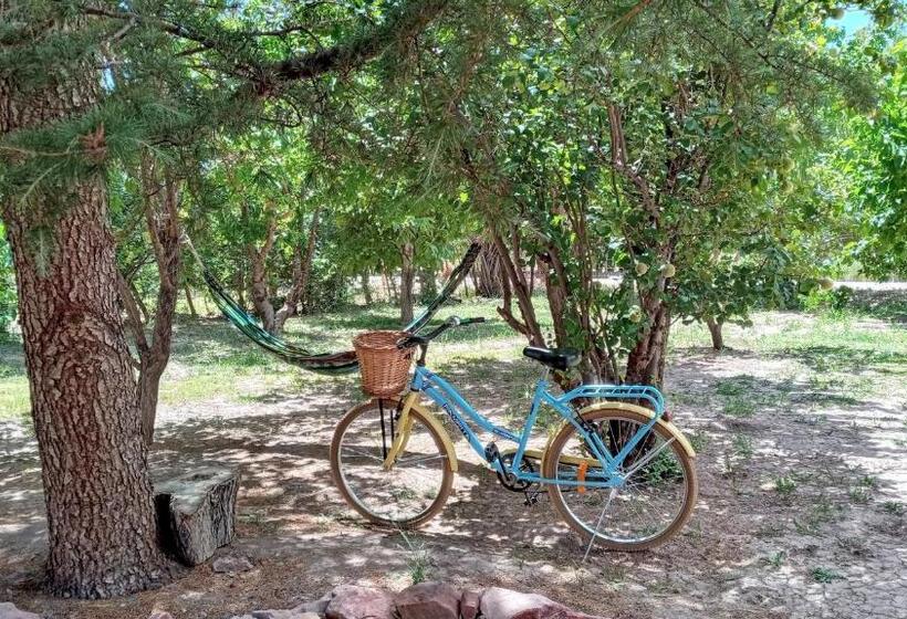 Aire De Barreal Hostel Andino