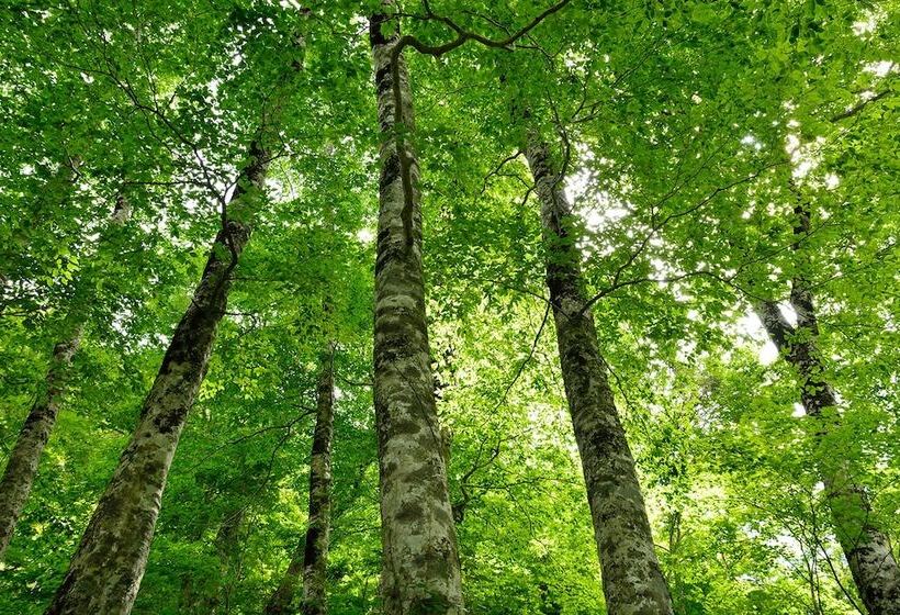 旅馆 Guesthouse Unila