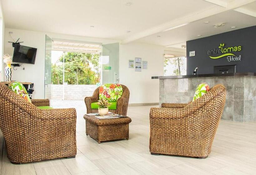 호텔 Entre Lomas