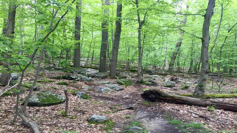 Отель Holiday Inn Express & Suites Brunswick Harpers Ferry Area, An Ihg