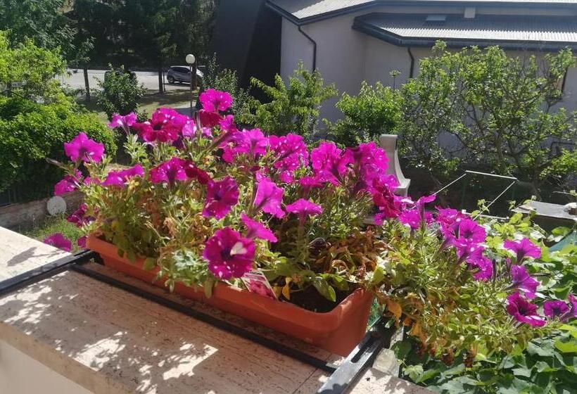 پانسیون Affittacamere Giada