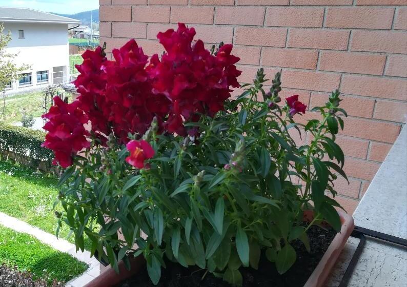 پانسیون Affittacamere Giada