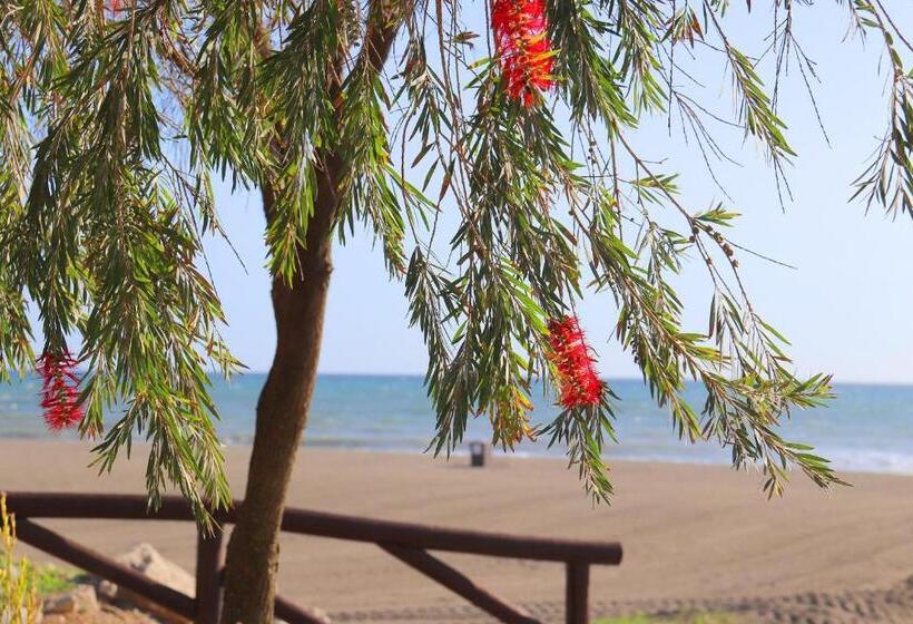 펜션 Hostal La Estacion