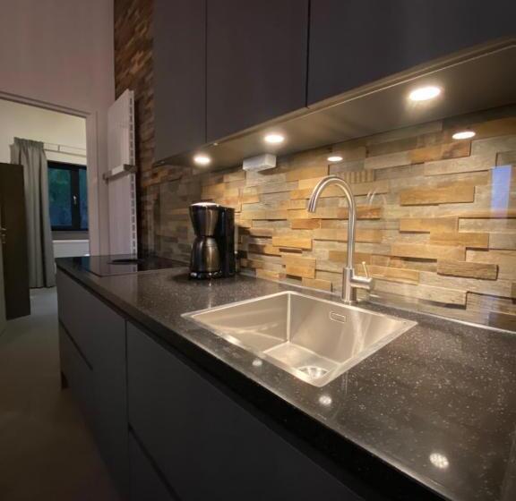 Apartmentshaus Dual   2