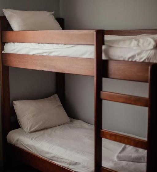 Forsage Hostel