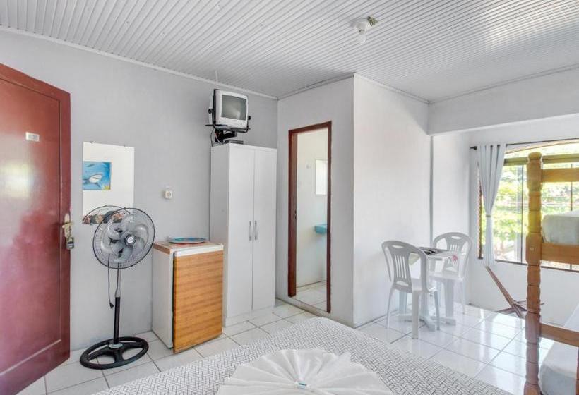 בית מלון כפרי Big