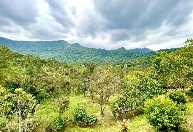 فندق Lomar Sol&luna