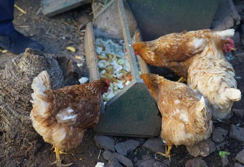 酒店 Quinta Da Saraiva