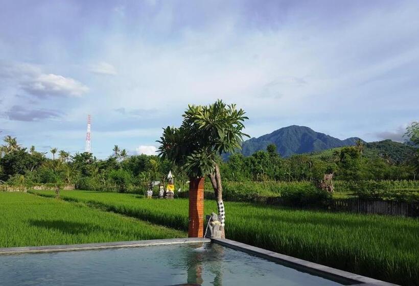 בית מלון כפרי Umma Bali Menjangan Retreat