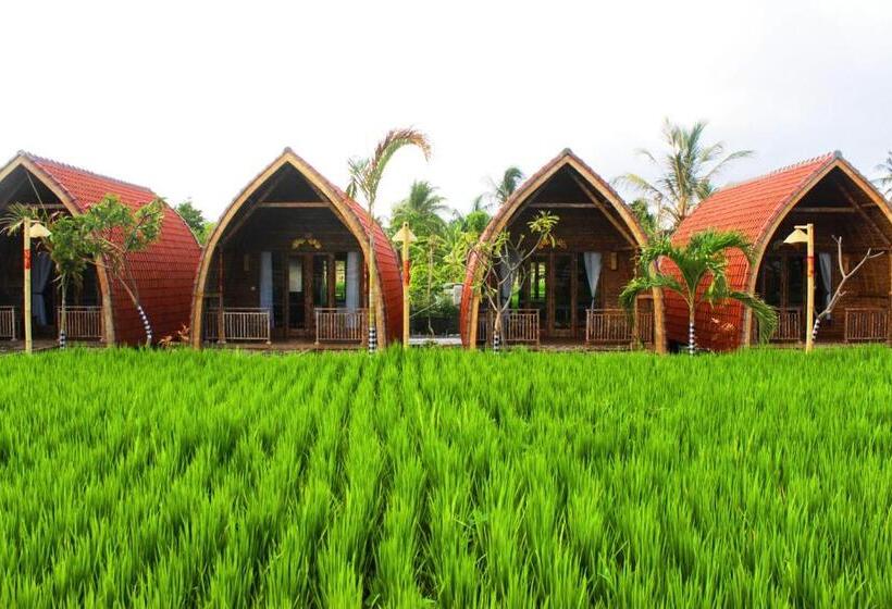 Отель Umma Bali Menjangan Retreat