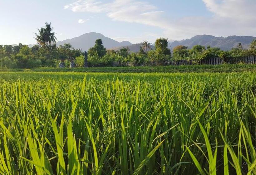 בית מלון כפרי Umma Bali Menjangan Retreat
