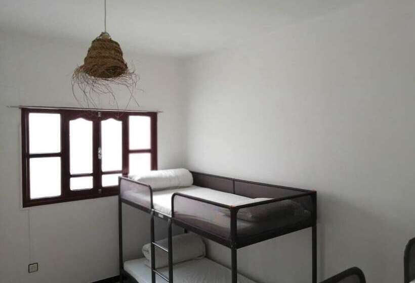 V&d Tamraght Surfers Hostel   Adults Only