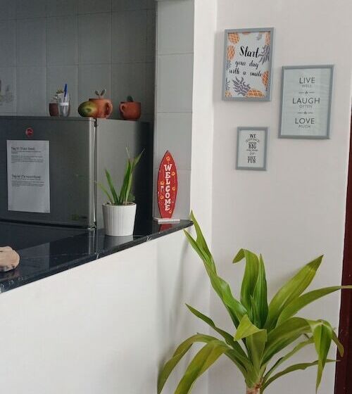 V&d Tamraght Surfers Hostel   Adults Only