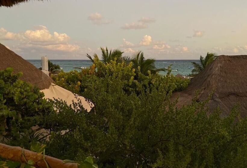 호텔 Pancho Villa Tulum