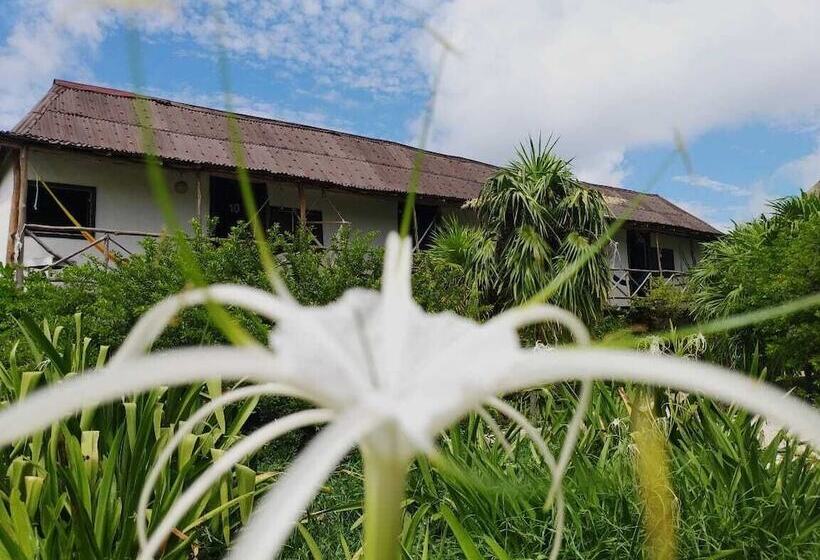 호텔 Pancho Villa Tulum