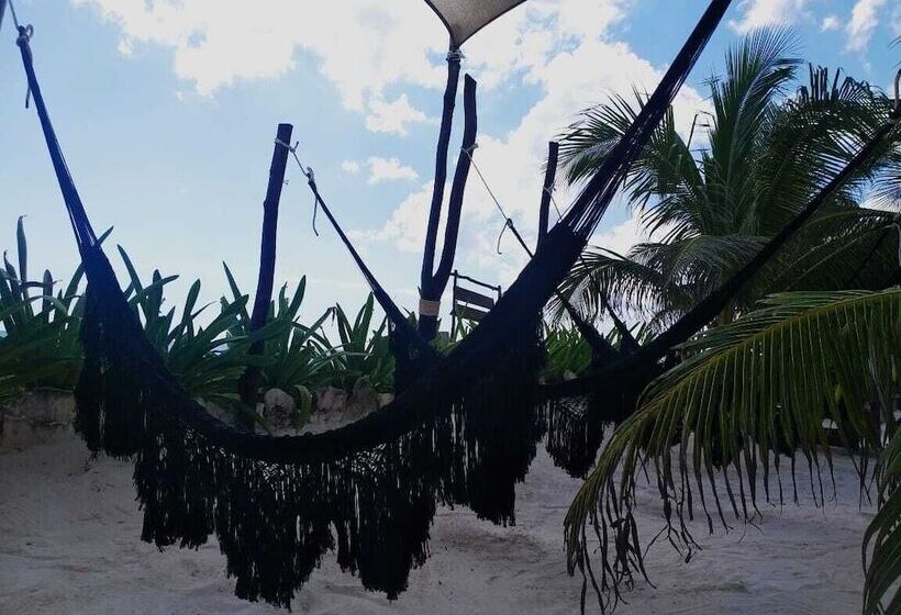 호텔 Pancho Villa Tulum