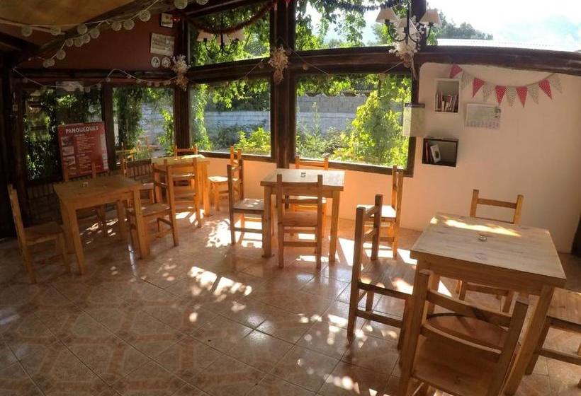 민박 Pura Vida Hostel