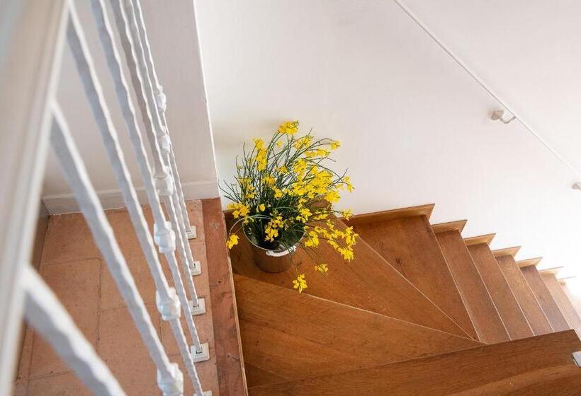 בית מלון כפרי Agriturismo Podere Coldifico