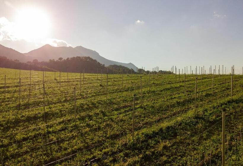 בית מלון כפרי Agriturismo Podere Coldifico