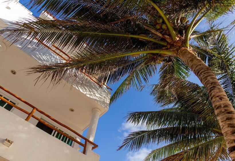 בית מלון כפרי Ojo De Agua