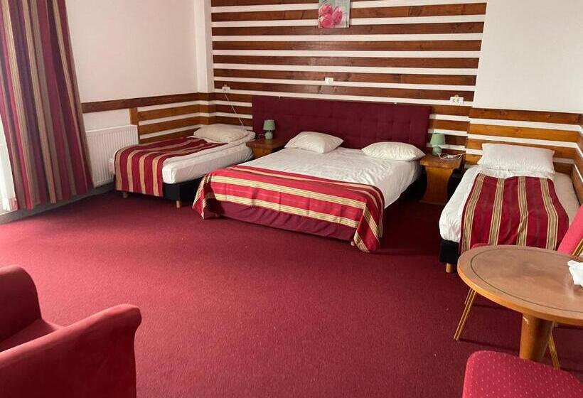 Отель Cabana Sura Getilor Arinis