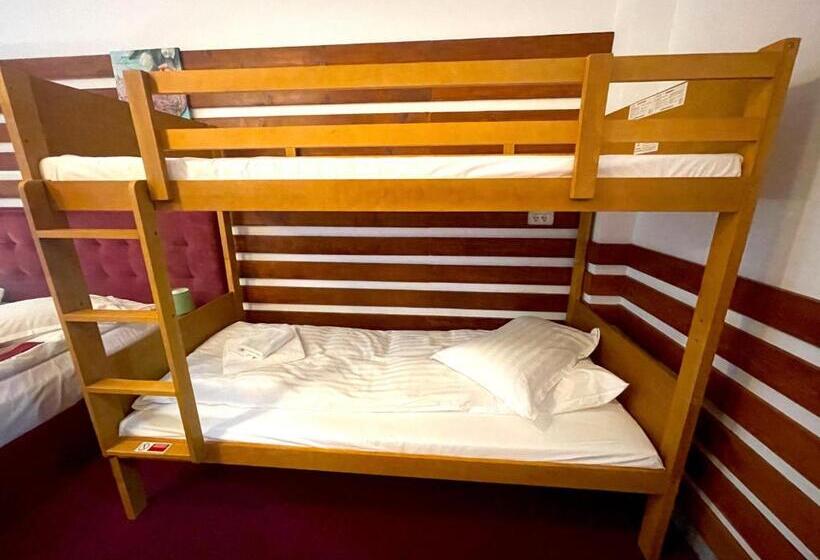 Отель Cabana Sura Getilor Arinis