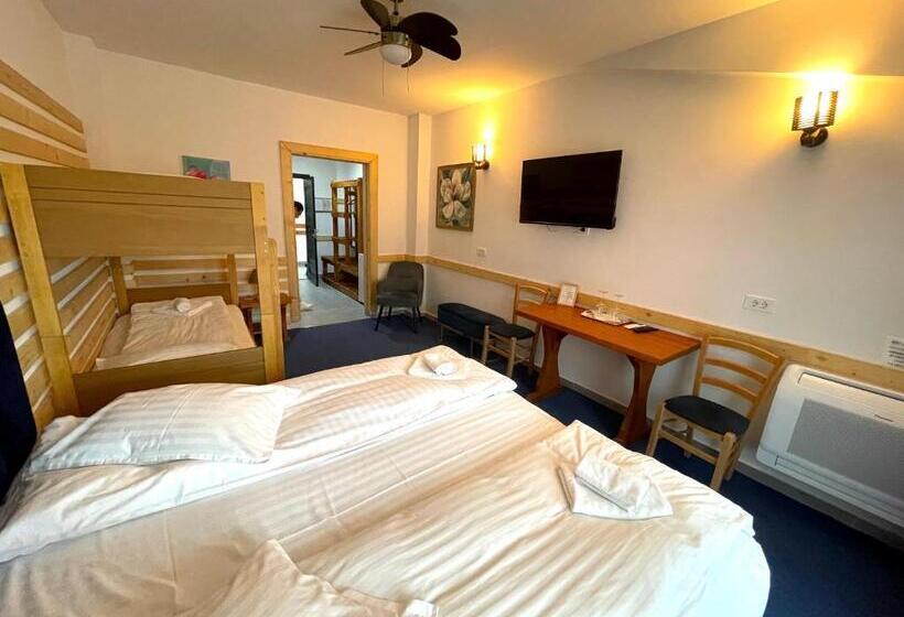 Отель Cabana Sura Getilor Arinis