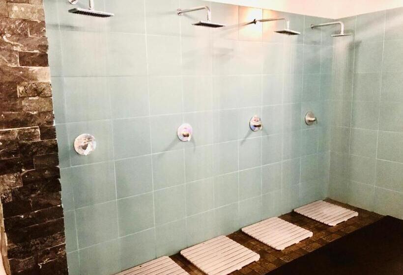 Отель Cabana Sura Getilor Arinis