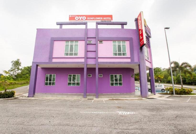 Отель Oyo 89677 Sunflower