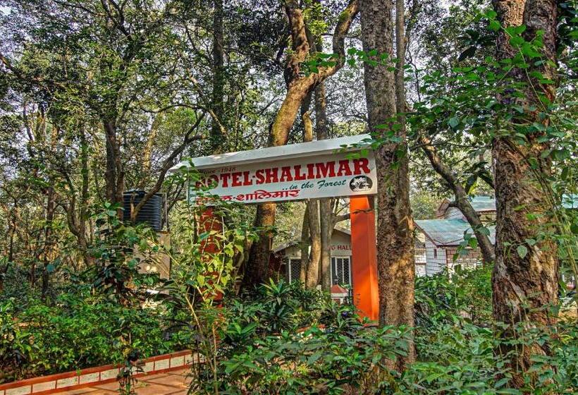 فندق Treebo Shalimar In The Forest