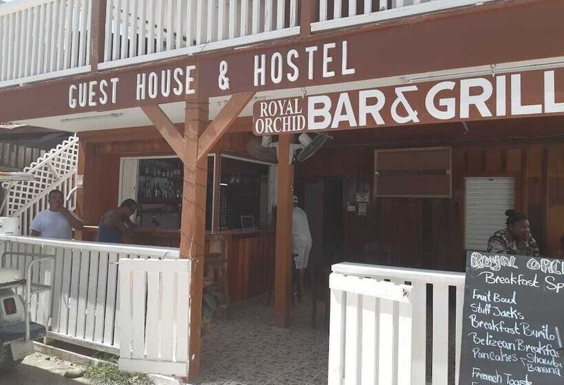 בית מלון כפרי Wild Panther S Guest House & Hostel