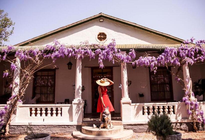 بنسيون The Bethesda