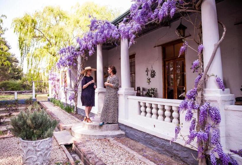 بنسيون The Bethesda