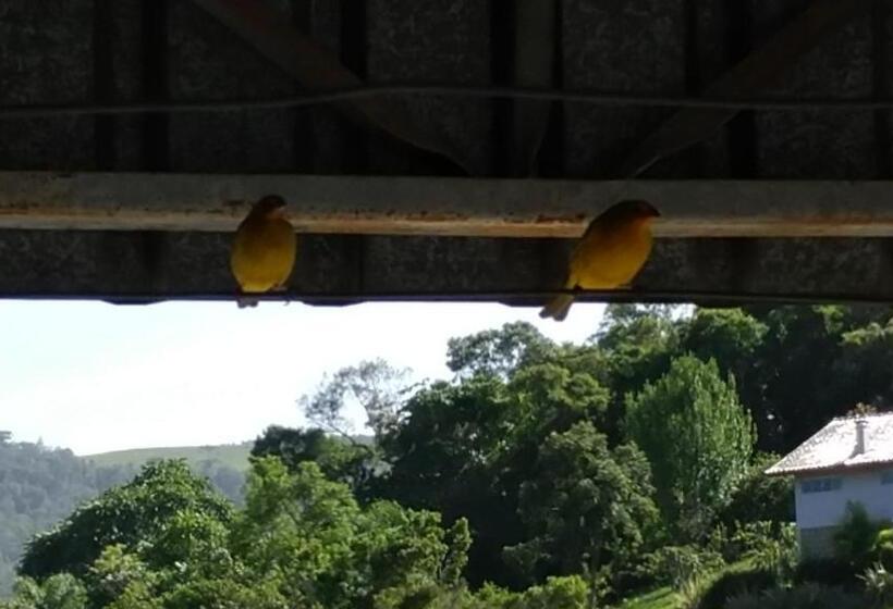 Alfredo Wagner Park Hotel  Saulo