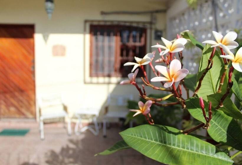 تختخواب و صبحانه Cancun Guest House 3 Near Ado Bus Terminal And 25 Min From/to Airport By Shuttle