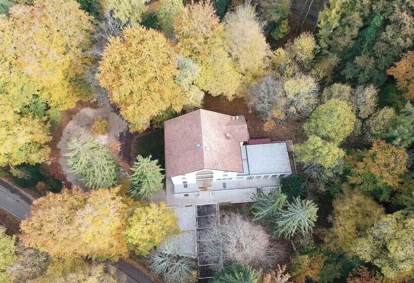 בית מלון כפרי Elda