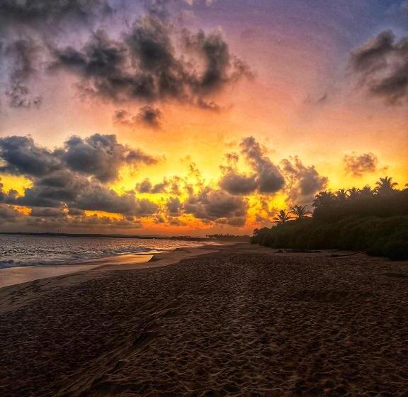 Отель Igabara Hobbit House