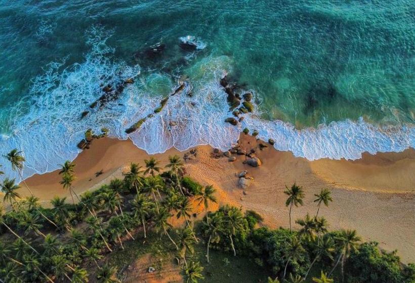 Отель Igabara Hobbit House