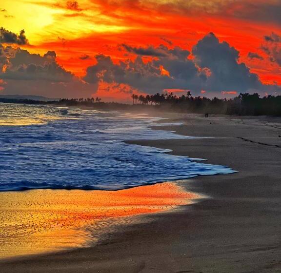 Отель Igabara Hobbit House