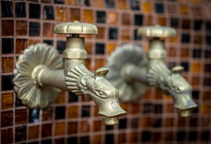 فندق Sunny Paradise Ll   Daniela Wellness And Spa