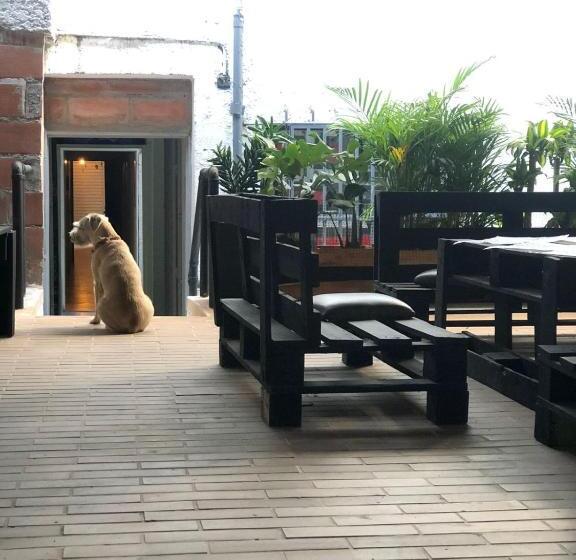 Пансион Casa Egos Pop Laureles