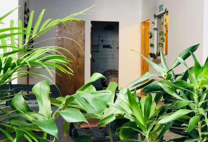 Пансион Casa Egos Pop Laureles