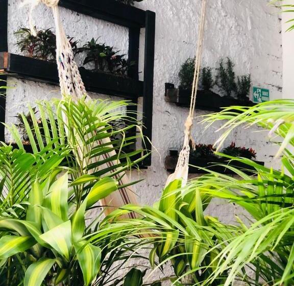 Пансион Casa Egos Pop Laureles