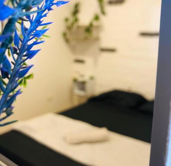 Пансион Casa Egos Pop Laureles