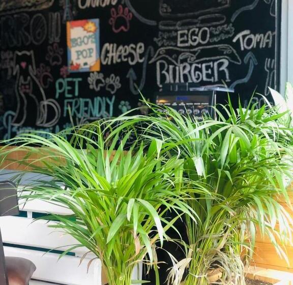 膳宿费 Casa Egos Pop Laureles