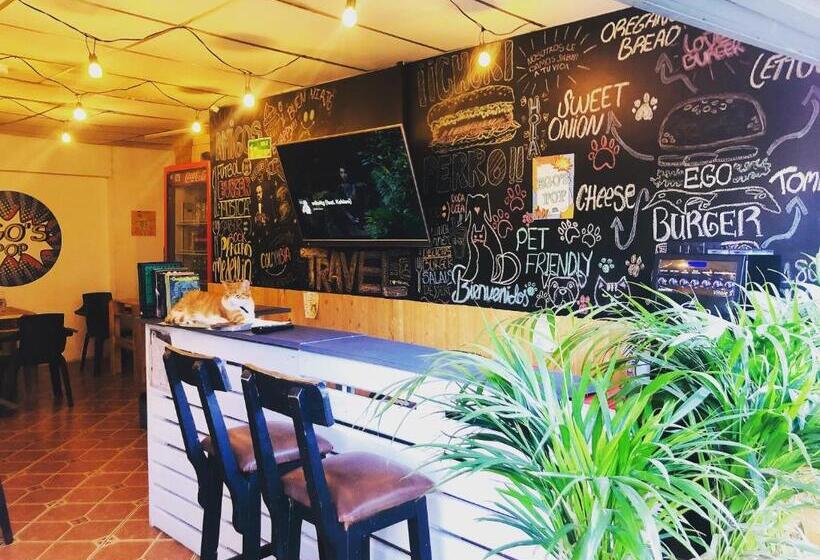 Пансион Casa Egos Pop Laureles