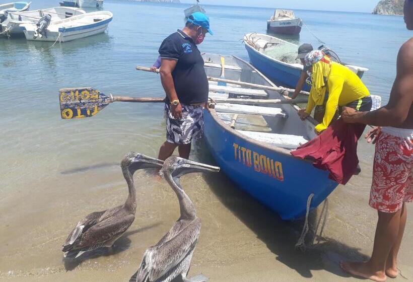 پانسیون Hostalnativo