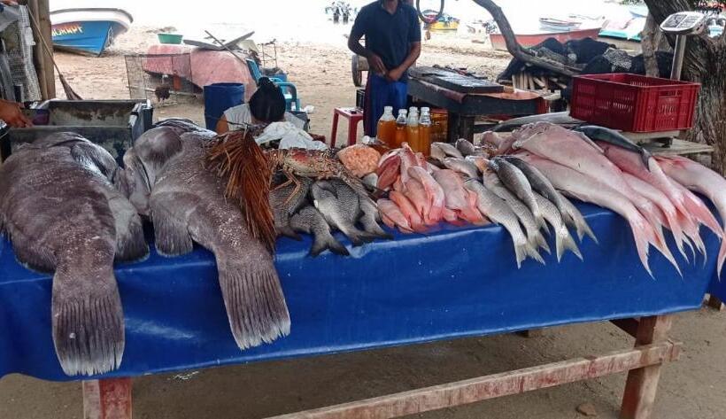 ペンション Hostalnativo