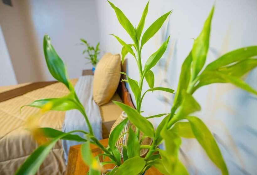 پانسیون Tropical Villa Siem Reap